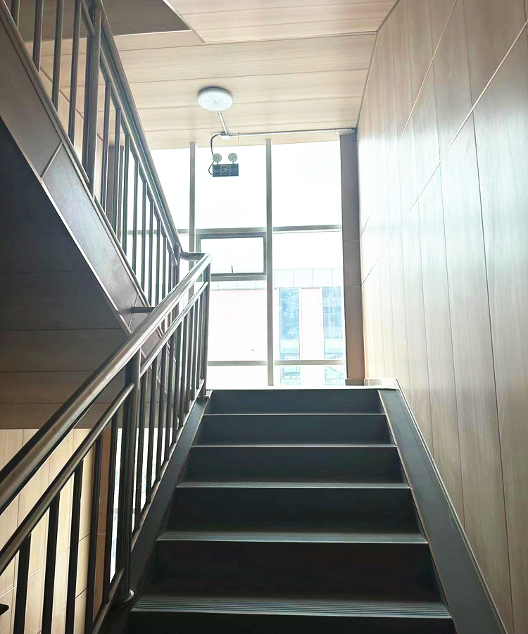 stair and wall escalera