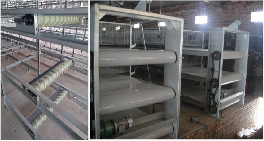 limpieza de esti&eacute;rcol