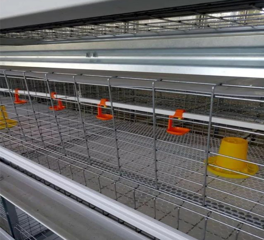 alimentador y bebedor