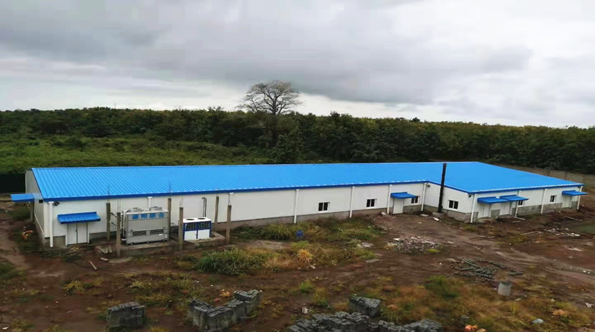 Granja de aves criadores