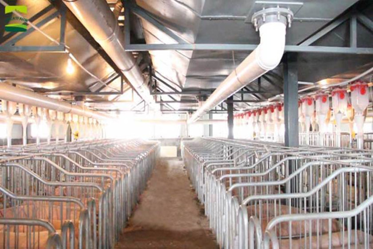 sistema de cr&iacute;a