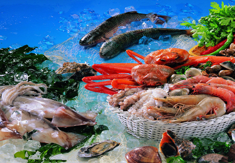 Almacenamiento en fr&iacute;o para mariscos