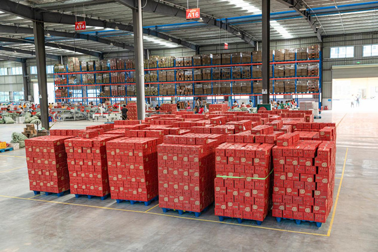 Almacenamiento de frutas