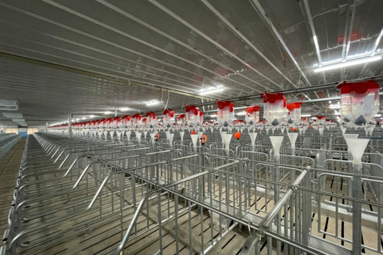 cobertizo de apareamiento