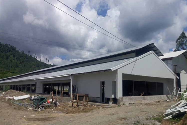 Edificio de acero agrícola para granja de pollos de capa con equipo avícola