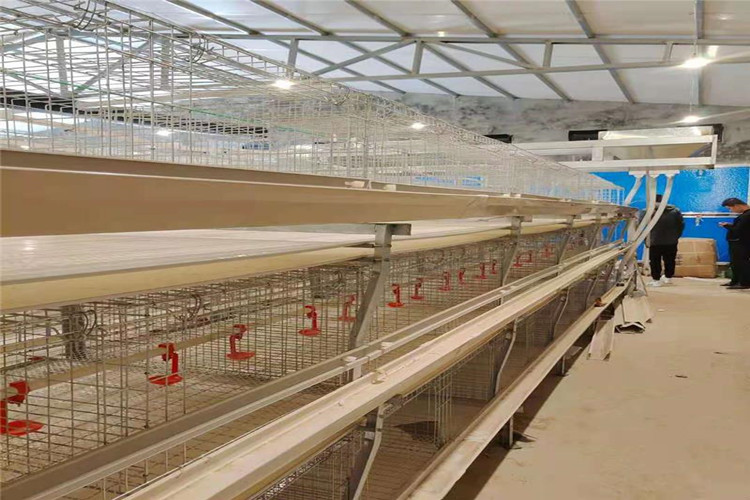 Solución de estructura de acero de acero para cultivo de pollo aves de pollo a los pájaros de pollo