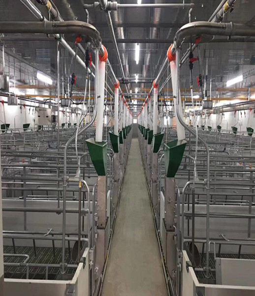 sistema de alimentaci&oacute;n