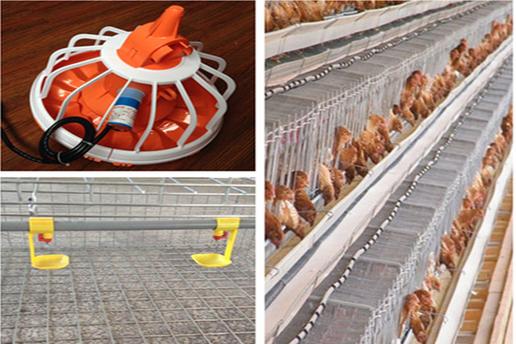 Granja de aves de pollo de capa prefabricada con equipo automático de aves de corral
