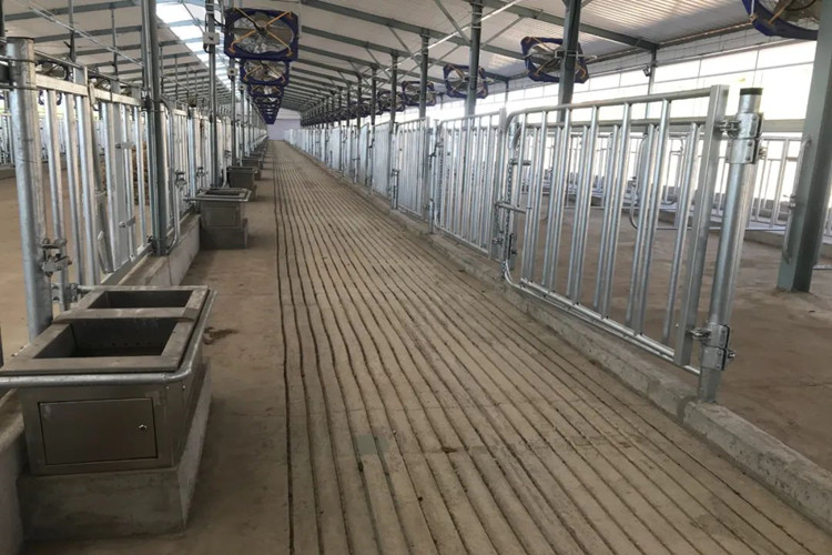 bol&iacute;grafos galvanizados