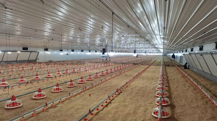 equipo de aves de corral