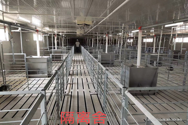 Edificios de acero galvanizados prefabricados de la agricultura para la granja de cerdos