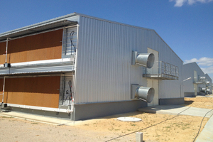 Estructuras de acero fabricadas en cultivo de poutry para pájaros de pollo de producción de carne