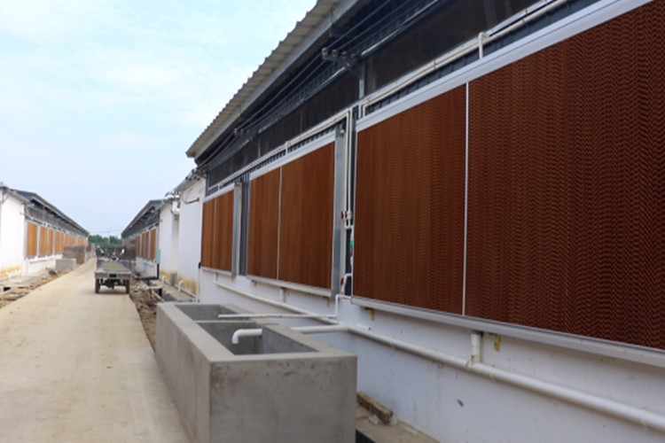 coj&iacute;n de enfriamiento