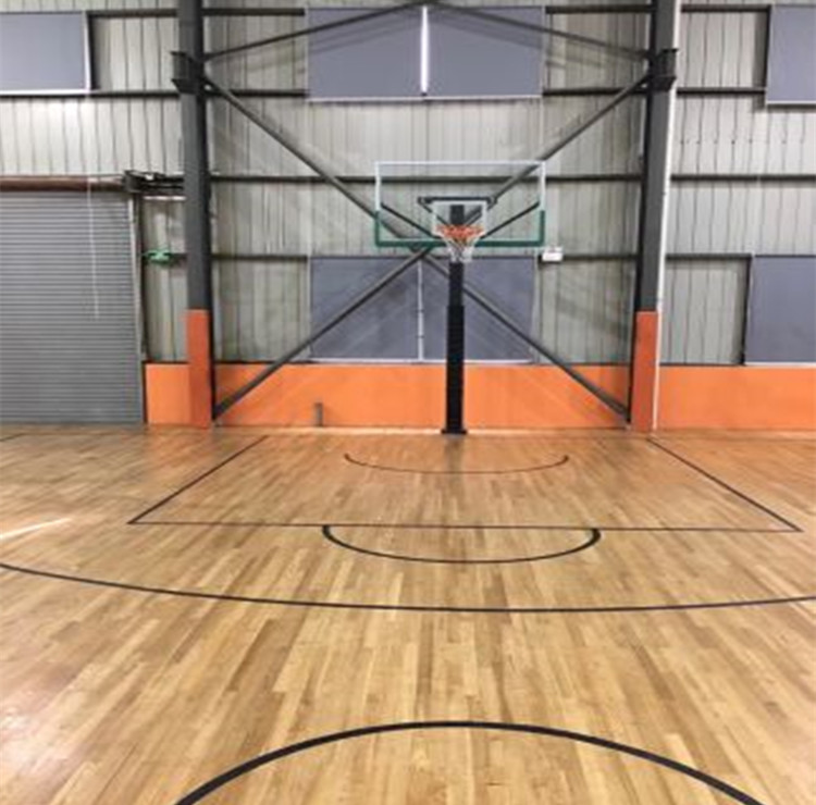 Estructura de acero Diseño de gimnasio Diseño claro para la cancha de  baloncesto interior: compre una cancha de baloncesto interior, tramo  transparente para la cancha de baloncesto interior, diseño de gimnasio  transparente