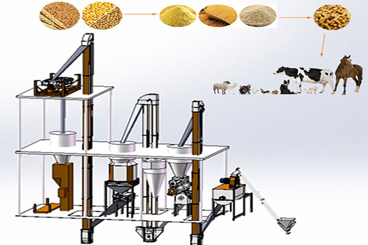 proceso de alimentaci&oacute;n