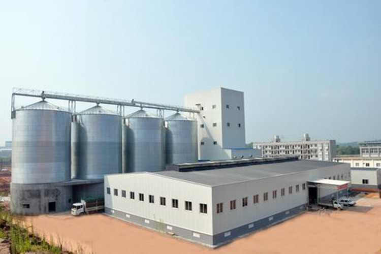 Diseño de estructura de acero para solución de fábrica de alimentos para animales