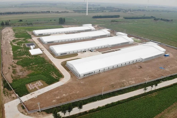 granja av&iacute;cola prefabricada