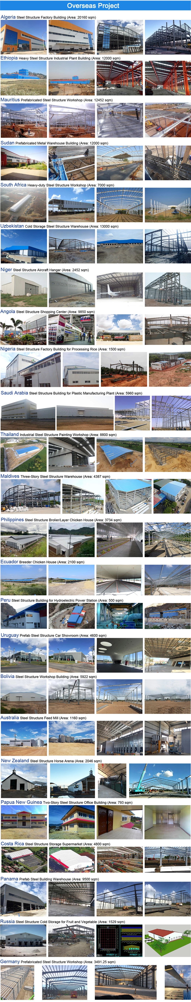 Proyectos de estructura de acero en el extranjero