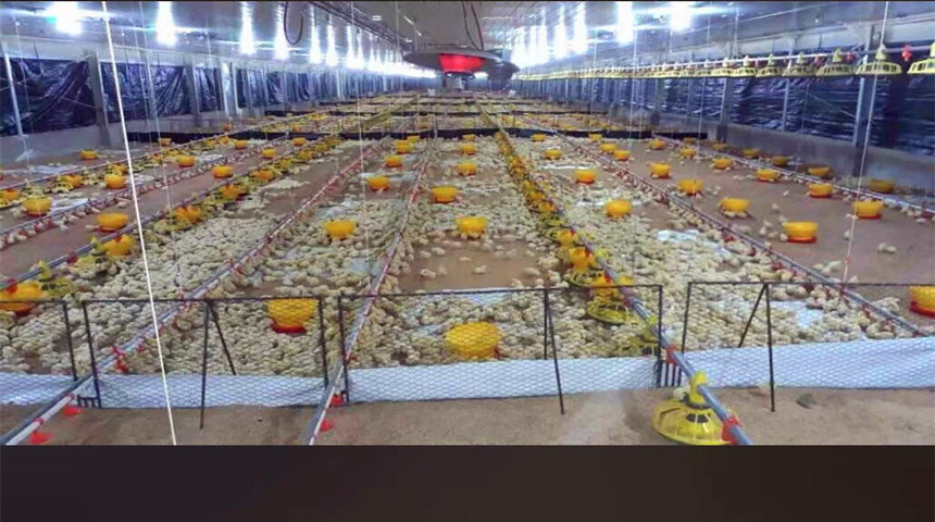 linea de alimentaci&oacute;n