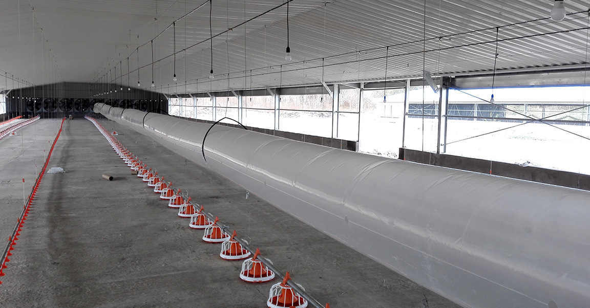 Casa de pollo a pollo1