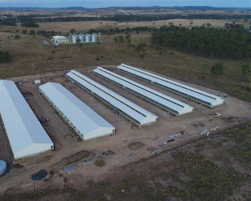 granja de cerdo de acero