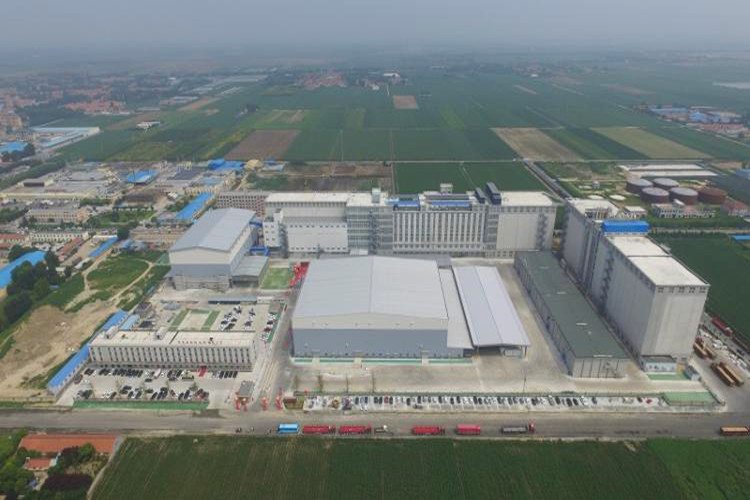 molino de harina de trigo