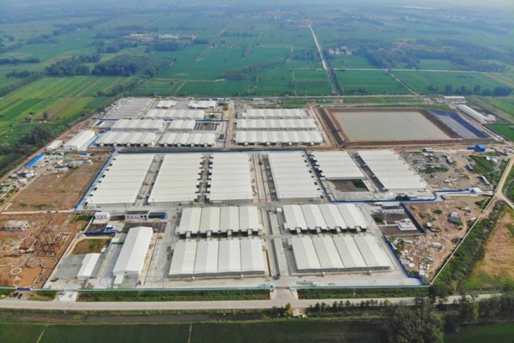 Granja de cerdos modernos