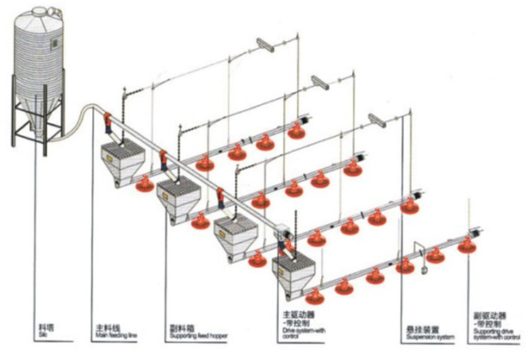 equipo de aves de corral