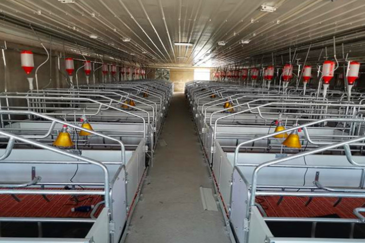 Proveedor de viviendas para la granja de cerdos de la guardería de China