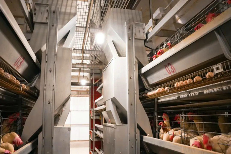 sistema de alimentaci&oacute;n