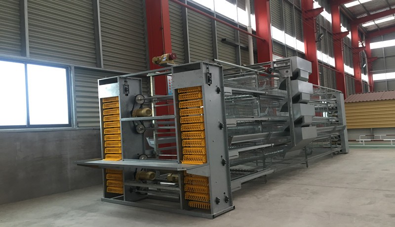 eqiupment alimentaci&oacute;n jaula