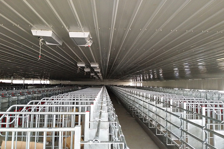 Nuevo marco de acero de galvanización fabricada con construcción de granja de cerdos reproductores 
