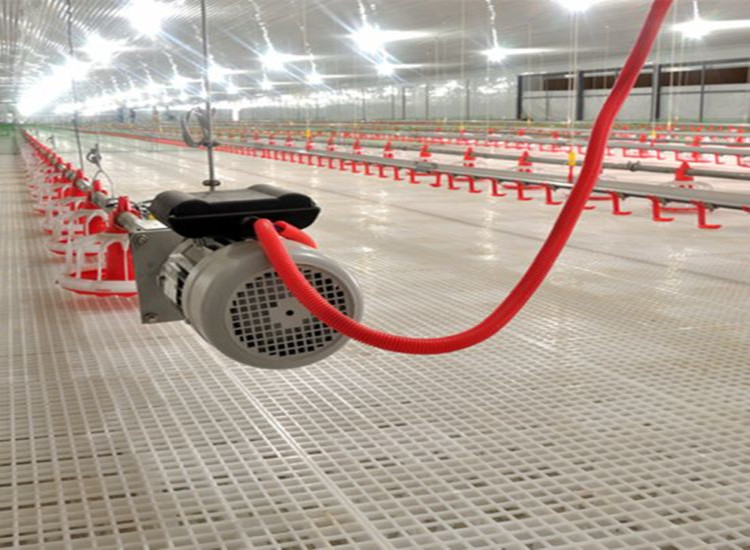 Equipos autom&aacute;ticos de granja de aves de corral