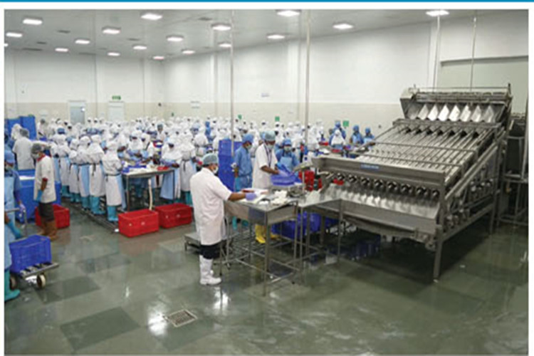 Taller de procesamiento de alimentos