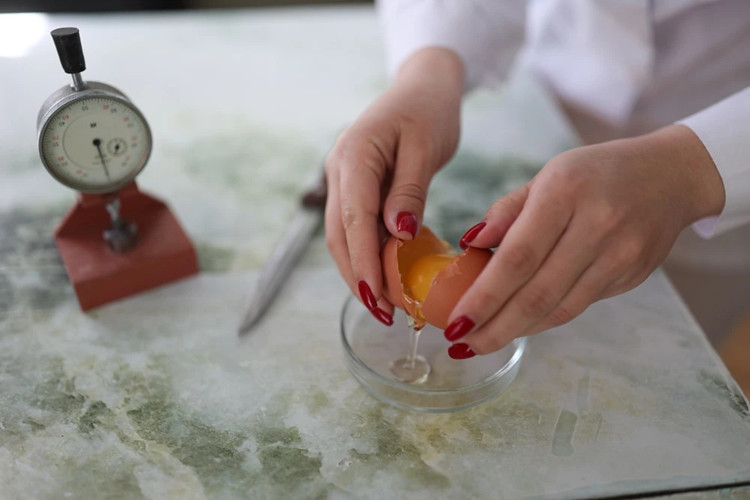 pasteurizaci&oacute;n