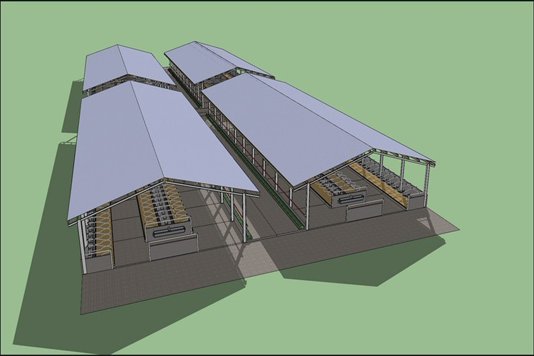 Diseño de estructura de acero ligero para viviendas lecheras, vacas y ganado