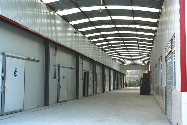 divisi&oacute;n de almacenamiento en fr&iacute;o