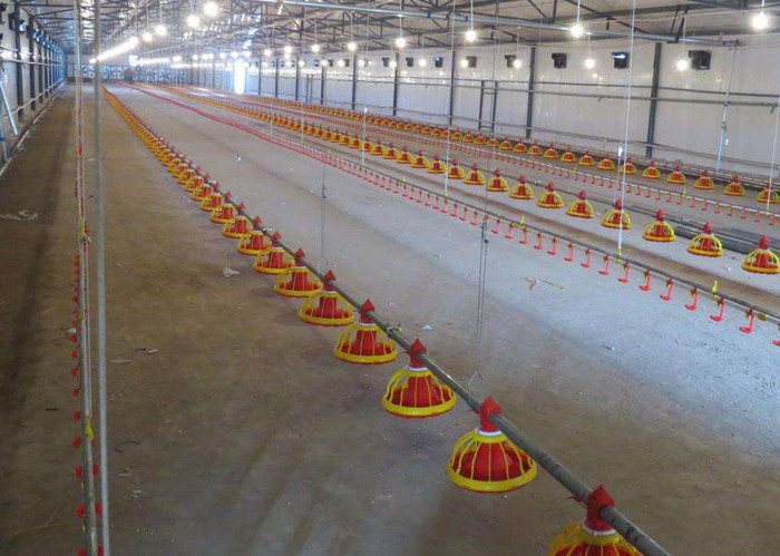 Equipo de alimentaci&oacute;n autom&aacute;tica