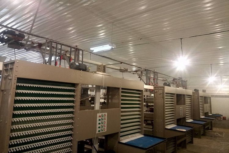 colecci&oacute;n de huevos