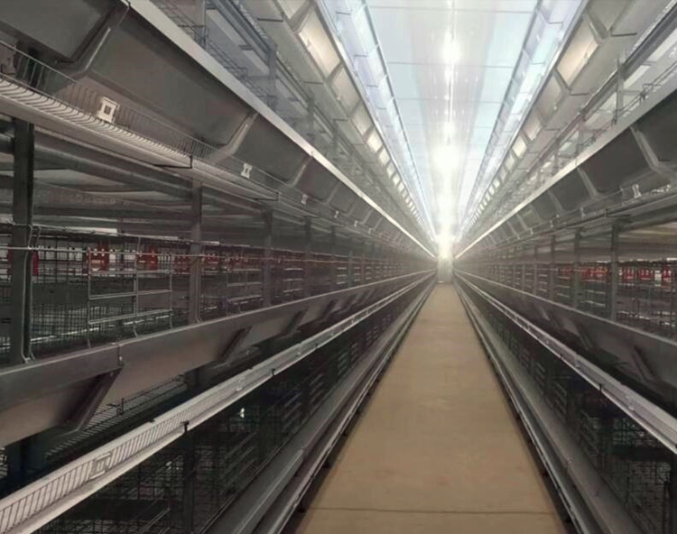 jaula de bater&iacute;a