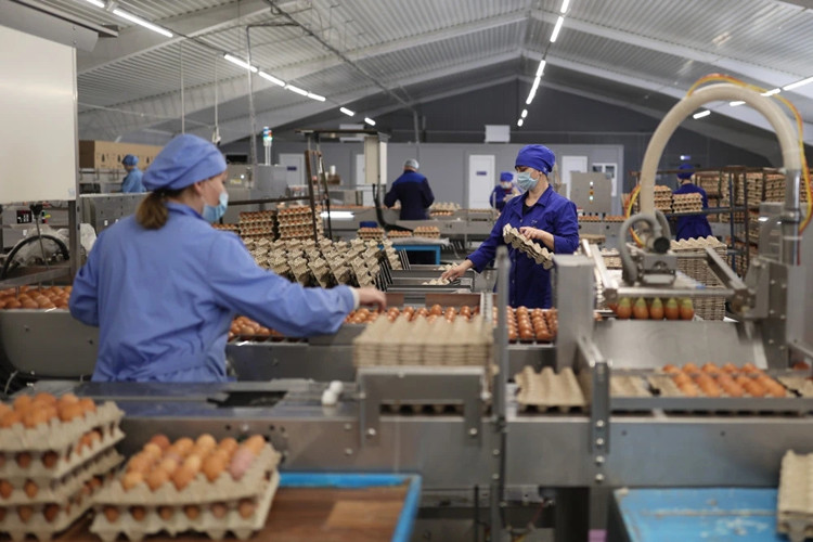 almacenamiento de huevos