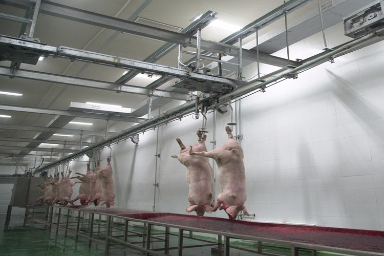 Zona de procesamiento de estructuras de acero en matadero