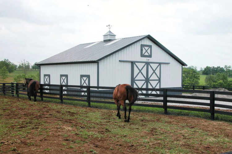 Edificios de acero para agricultura